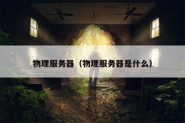 物理服务器（物理服务器是什么）