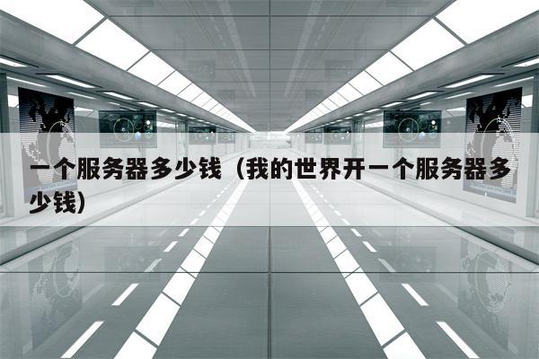 一个服务器多少钱（我的世界开一个服务器多少钱）