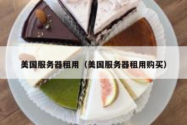 美国服务器租用（美国服务器租用购买）