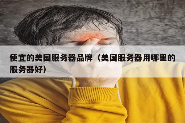 便宜的美国服务器品牌（美国服务器用哪里的服务器好）