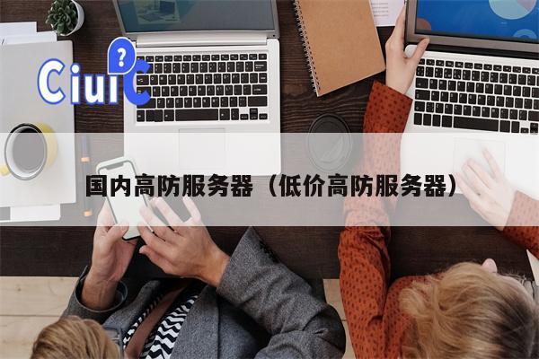 国内高防服务器（低价高防服务器）