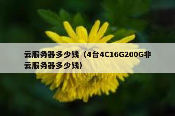 云服务器多少钱（4台4C16G200G非云服务器多少钱）