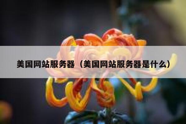 美国网站服务器（美国网站服务器是什么）