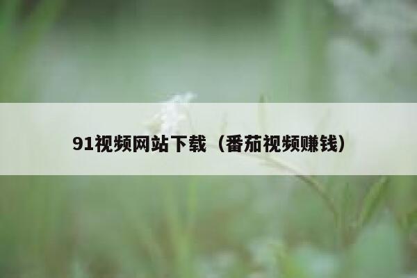 91视频网站下载（番茄视频赚钱）
