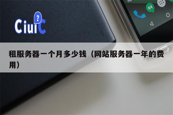 租服务器一个月多少钱（网站服务器一年的费用）