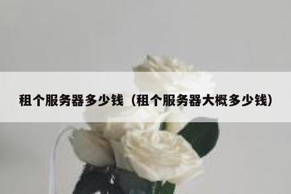 租个服务器多少钱（租个服务器大概多少钱）