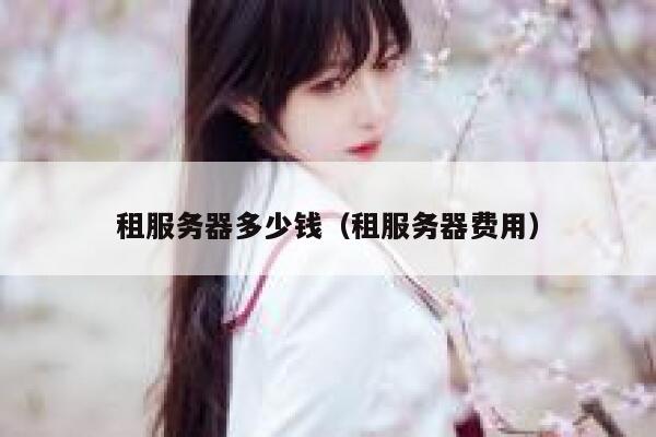 租服务器多少钱（租服务器费用）