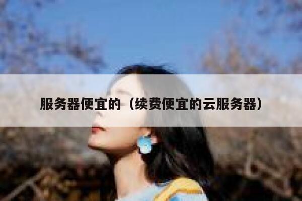 服务器便宜的（续费便宜的云服务器）