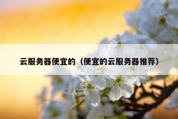 云服务器便宜的（便宜的云服务器推荐）