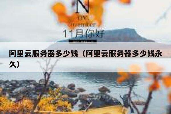 阿里云服务器多少钱（阿里云服务器多少钱永久）