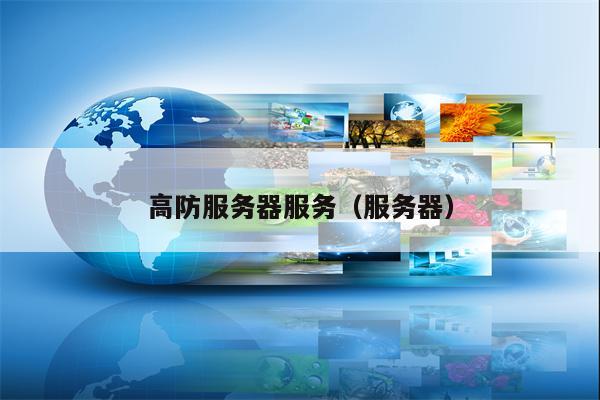 高防服务器服务（服务器）