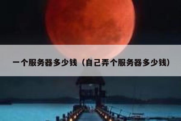 一个服务器多少钱（自己弄个服务器多少钱）