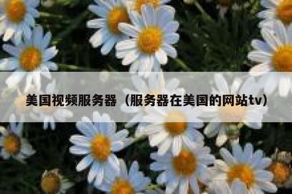 美国视频服务器（服务器在美国的网站tv）