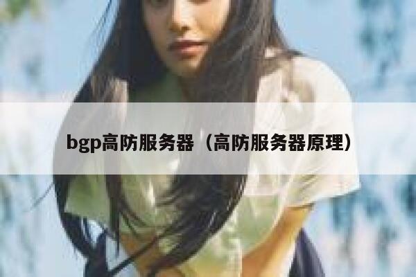 bgp高防服务器（高防服务器原理）
