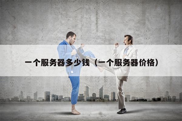 一个服务器多少钱（一个服务器价格）
