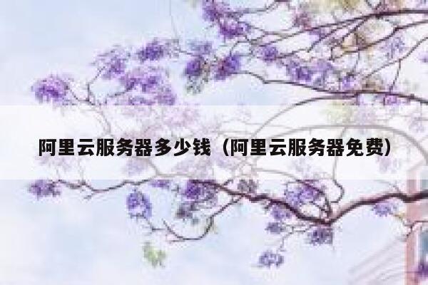 阿里云服务器多少钱（阿里云服务器免费）