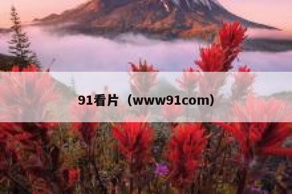 91看片（www91com）