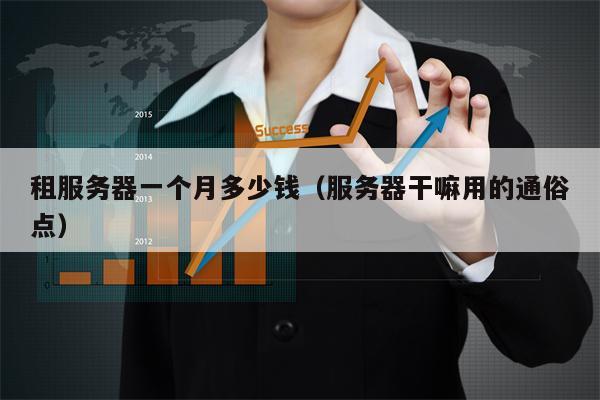 租服务器一个月多少钱（服务器干嘛用的通俗点）