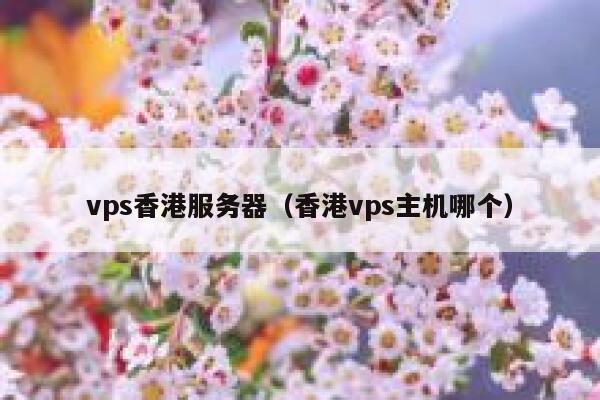 vps香港服务器（香港vps主机哪个）