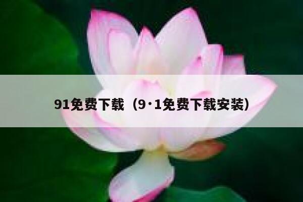 91免费下载（9·1免费下载安装）