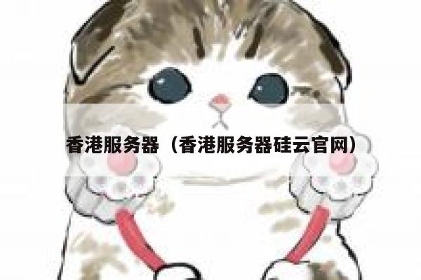 香港服务器（香港服务器硅云官网）