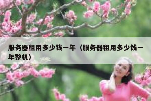 服务器租用多少钱一年（服务器租用多少钱一年整机）