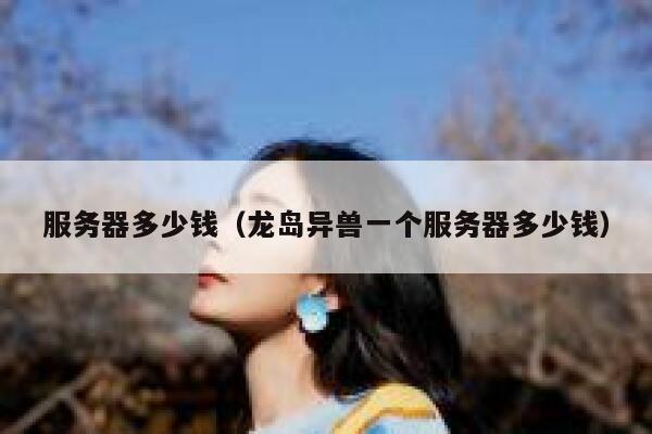 服务器多少钱（龙岛异兽一个服务器多少钱）