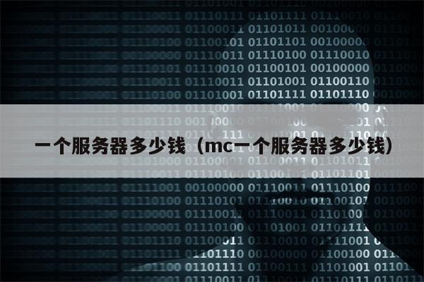 一个服务器多少钱（mc一个服务器多少钱）
