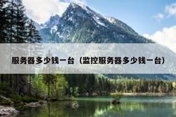 服务器多少钱一台（监控服务器多少钱一台）