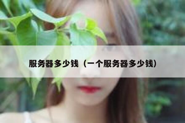 服务器多少钱（一个服务器多少钱）
