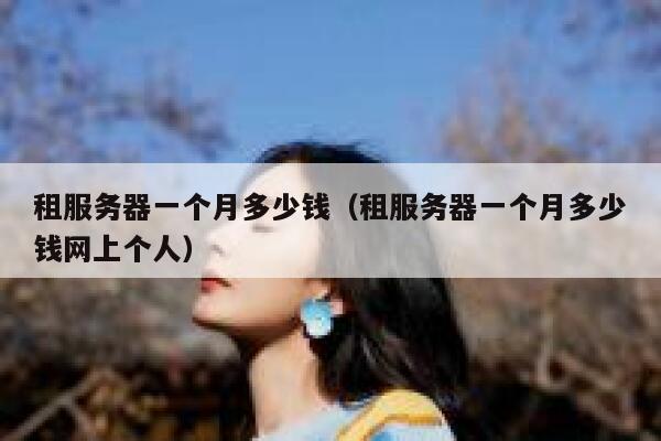 租服务器一个月多少钱（租服务器一个月多少钱网上个人）