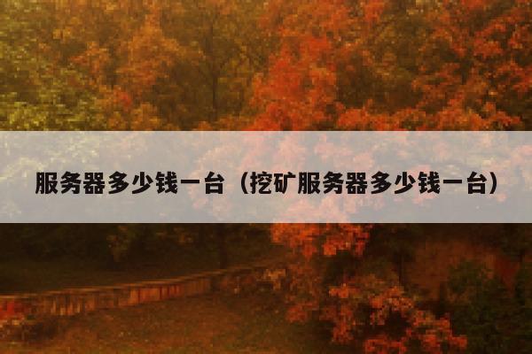 服务器多少钱一台（挖矿服务器多少钱一台）