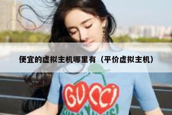便宜的虚拟主机哪里有（平价虚拟主机）
