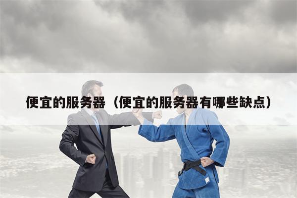 便宜的服务器（便宜的服务器有哪些缺点）