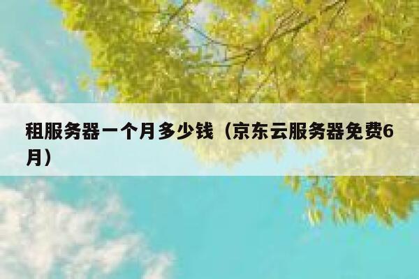 租服务器一个月多少钱（京东云服务器免费6月）