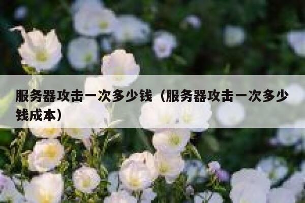 服务器攻击一次多少钱（服务器攻击一次多少钱成本）