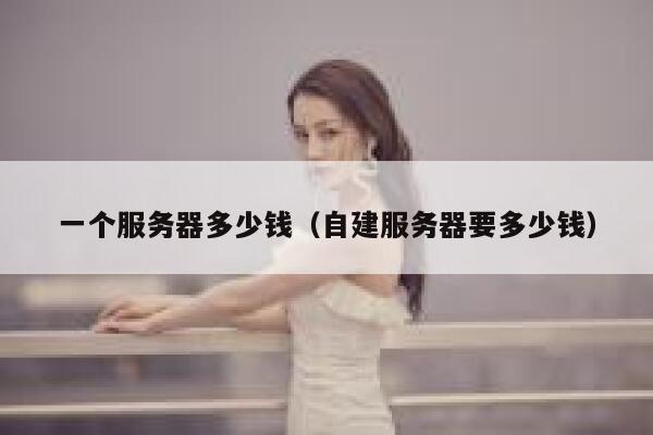 一个服务器多少钱（自建服务器要多少钱）