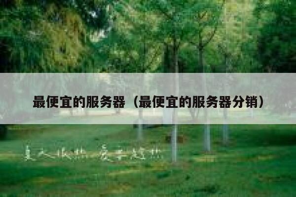 最便宜的服务器（最便宜的服务器分销）