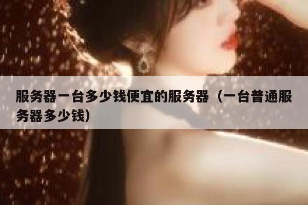 服务器一台多少钱便宜的服务器（一台普通服务器多少钱）