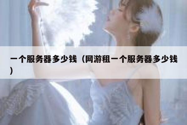 一个服务器多少钱（网游租一个服务器多少钱）