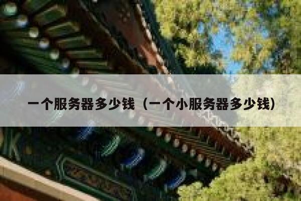 一个服务器多少钱(一个小服务器多少钱)