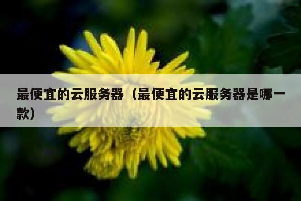 最便宜的云服务器（最便宜的云服务器是哪一款）