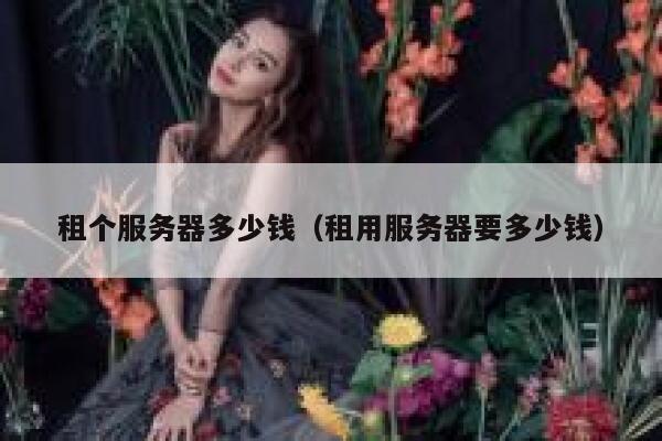 租个服务器多少钱（租用服务器要多少钱）