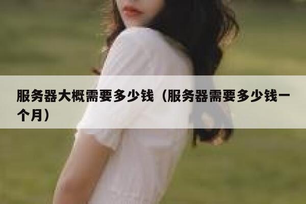 服务器大概需要多少钱（服务器需要多少钱一个月）