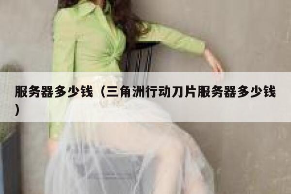 服务器多少钱（三角洲行动刀片服务器多少钱）