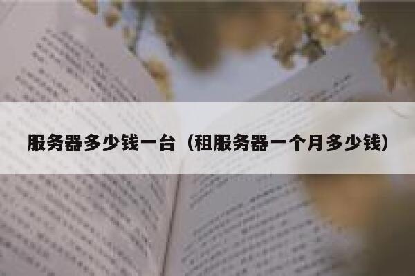 服务器多少钱一台（租服务器一个月多少钱）
