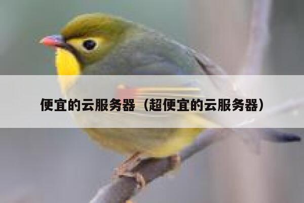 便宜的云服务器（超便宜的云服务器）