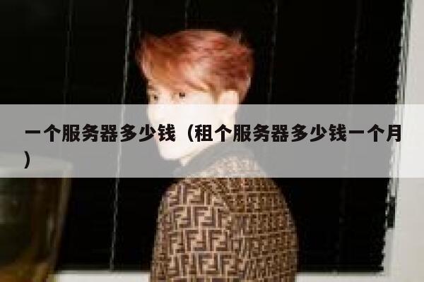 一个服务器多少钱（租个服务器多少钱一个月）