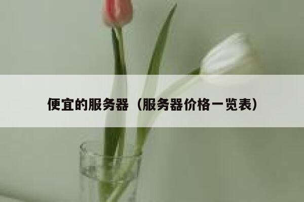 便宜的服务器（服务器价格一览表）