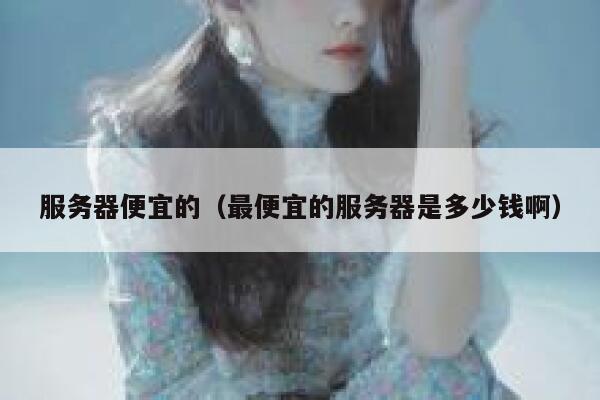 服务器便宜的（最便宜的服务器是多少钱啊）